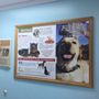 Photo of College Point Veterinary Center PC