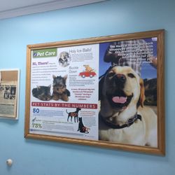 College Point Veterinary Center PC