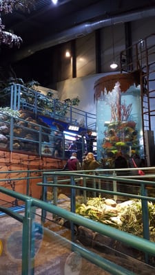 National SEA LIFE Centre Birmingham by null