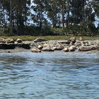 Kayak Connection - Rafting/Kayaking Near Me - Moss Landing, California Kayak Connection - Rafting/Kayaking Near Me - Moss Landing, California