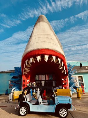 Mokes And Spokes Rentals