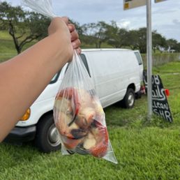 a bag of food a bag of food