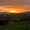 City of Aliso Viejo gift card