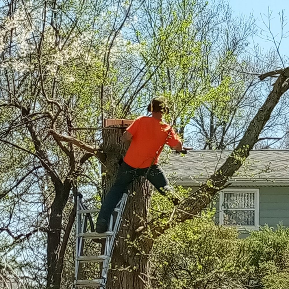 Ridgeview Tree Service - Tree Services Near Me - Lewiston, New York Ridgeview Tree Service - Tree Services Near Me - Lewiston, New York