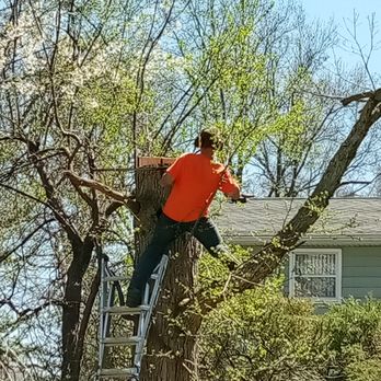 Ridgeview Tree Service - Tree Services Near Me - Lewiston, New York