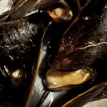 Mandolin Aegean Bistro - Mussels - Mediterranean Near Me - Miami, Florida Mandolin Aegean Bistro - Mussels - Mediterranean Near Me - Miami, Florida