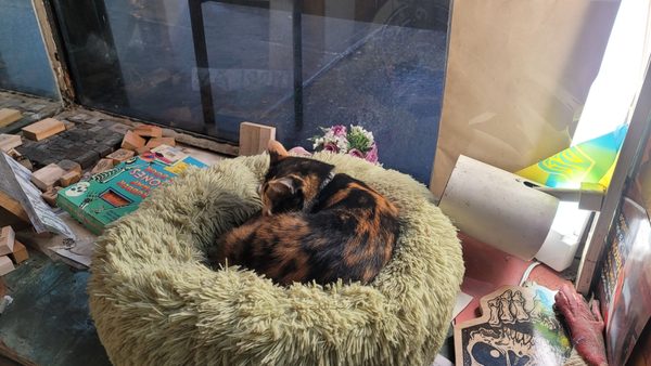 Casey Rubber Stamps by null