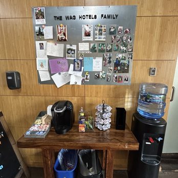 Wag Hotels - West Loop - Pet Groomers Near Me - Chicago, Illinois
