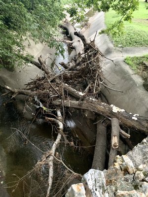 Overton Park by null