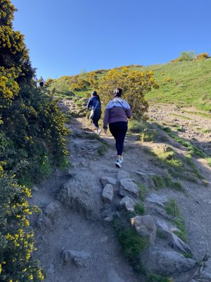 Arthur's Seat by null