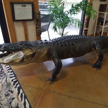 Spear Hunting Museum - Museums Near Me - Summerdale, Alabama Spear Hunting Museum - Museums Near Me - Summerdale, Alabama