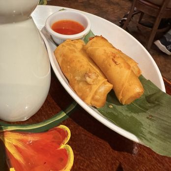 Indochine - Saigon Pork Egg Roll - Asian Fusion Near Me - Wilmington, North Carolina