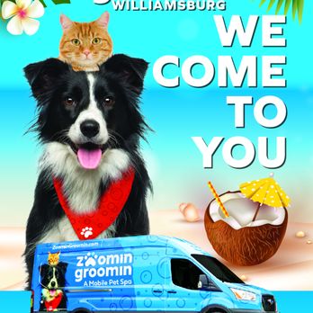 Zoomin Groomin - Pet Groomers Near Me Zoomin Groomin - Pet Groomers Near Me