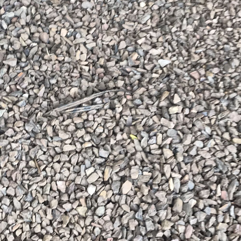 Hawkeye Landscaping - My landscape wires that came up from rock hope my dog doesn't get electrocuted - Landscaping Near Me - Phoenix, Arizona Hawkeye Landscaping - My landscape wires that came up from rock hope my dog doesn't get electrocuted - Landscaping Near Me - Phoenix, Arizona