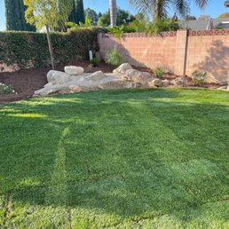 New Sod New Sod