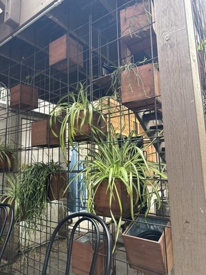 Arlequin Cafe & Food To Go by null