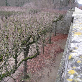 Parc de Sceaux - Parks Near Me - Sceaux, 92