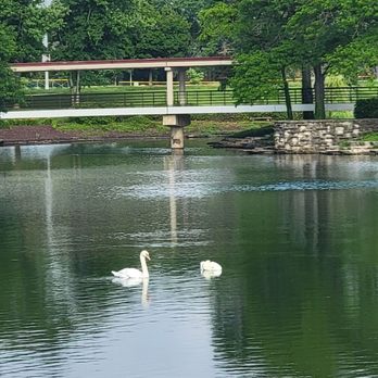 Hyatt Lodge Oak Brook Chicago - Hotels Near Me - Oak Brook, Illinois Hyatt Lodge Oak Brook Chicago - Hotels Near Me - Oak Brook, Illinois