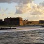 Amelia River Cruises & Charters