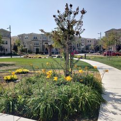 Augustus Rathbone Park
