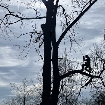 Pisgah Land Solutions - Tree removal services - Tree Services Near Me - Pisgah Forest, North Carolina Pisgah Land Solutions - Tree removal services - Tree Services Near Me - Pisgah Forest, North Carolina