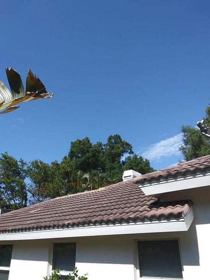 Slide of Erik's Roof Cleaning