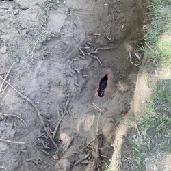 Payless Plumbing & Rooter