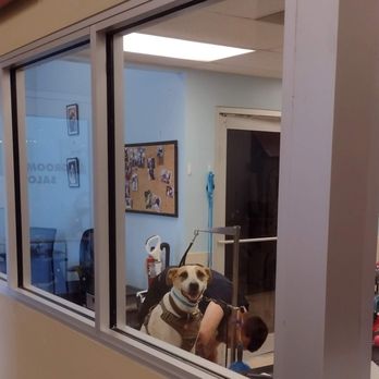 Petco - Pet Training Near Me - Grand Prairie, Texas Petco - Pet Training Near Me - Grand Prairie, Texas