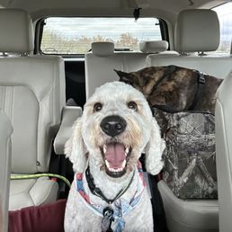 Such a happy boy! New Year, New Me!
