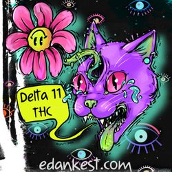 3rd Eye Vape & Glass - Delta 11 @ 3rd Eye