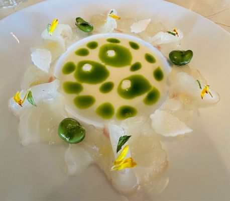 The Bump Bar by null