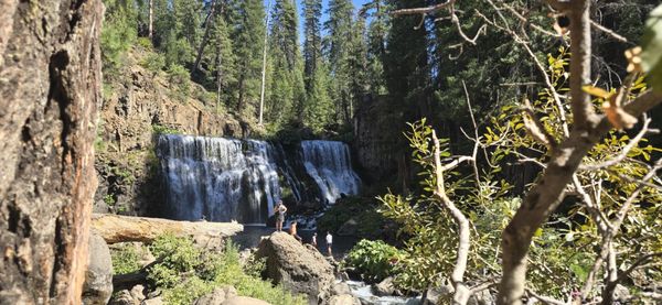 McCloud Falls - Upper Fall by null