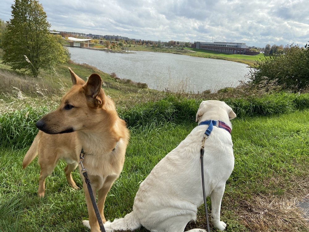 MAPLE GROVE COMMUNITY CENTER 23 Photos & 17 Reviews 12951 Weaver Lake Rd, Maple Grove