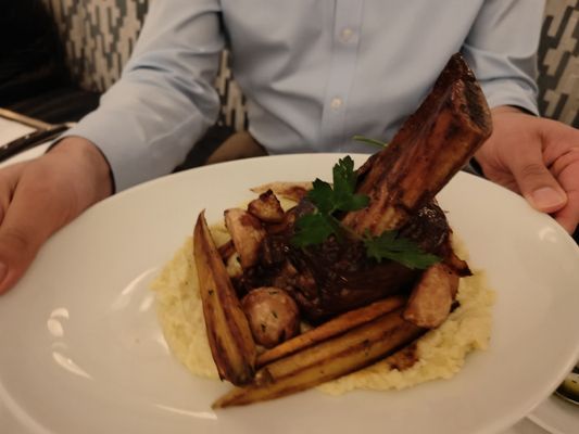 Torali by null Torali by null