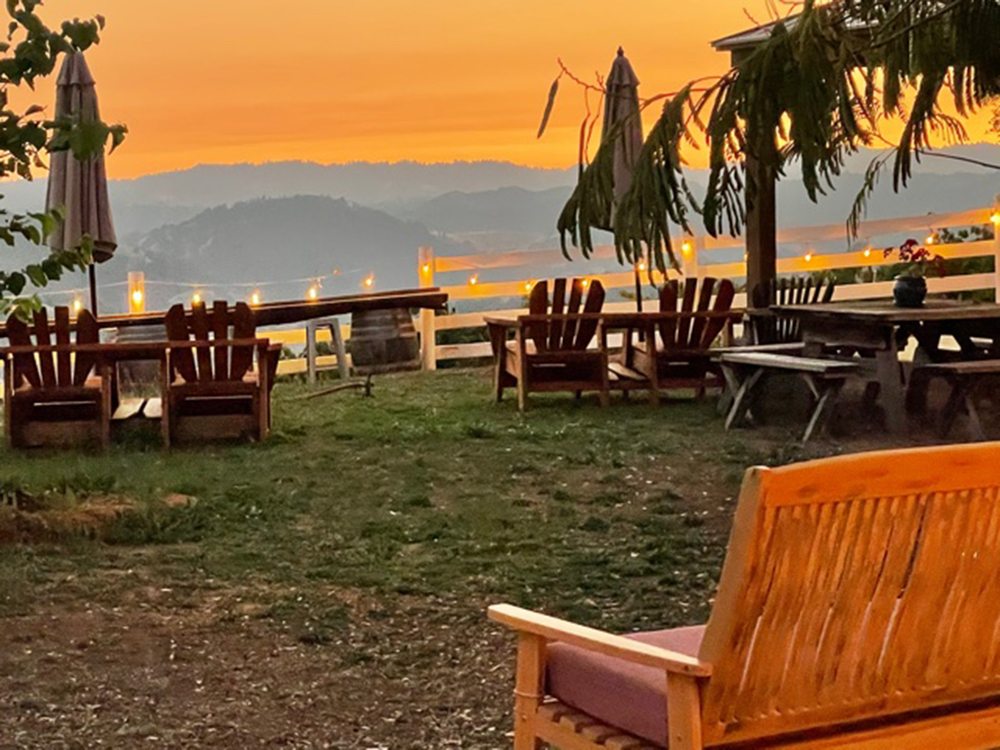 Le Vin Winery & Vineyards Logo