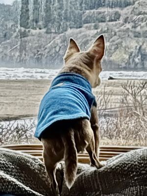 Little Creek Cove Beach Resort by null