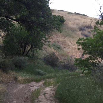 East and Rice Canyons - Hiking Near Me - Newhall, California
