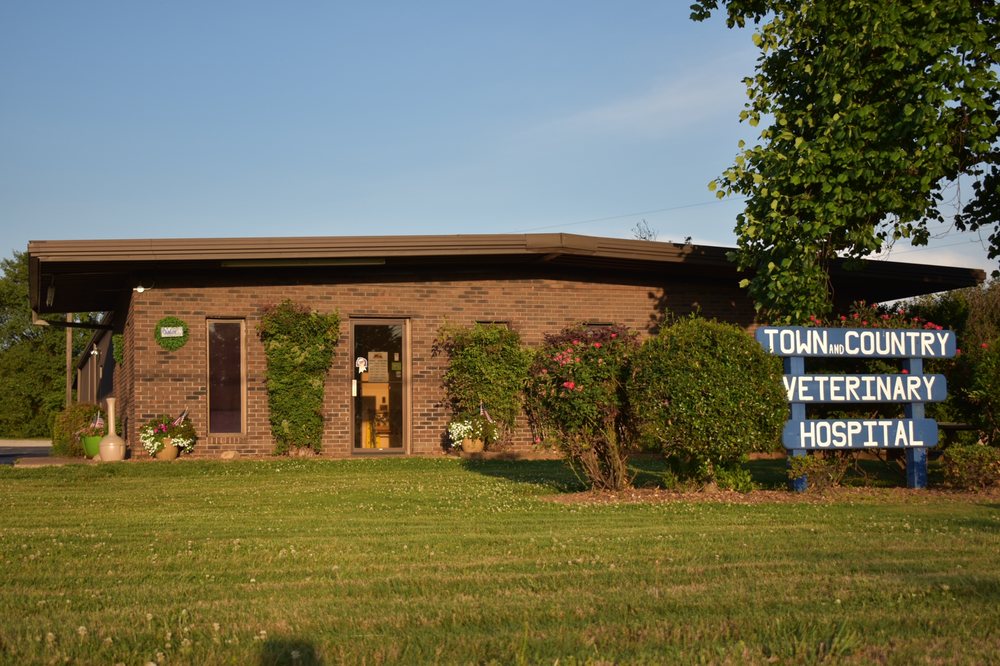 TOWN AND COUNTRY VETERINARY HOSPITAL Updated September 2024 44 Aedc Rd, Winchester