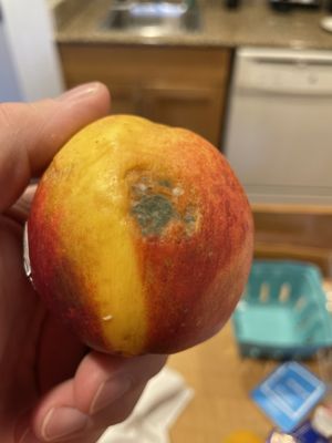 WHOLE FOODS MARKET - Updated July 2025 - 99 Photos & 131 Reviews - 1140