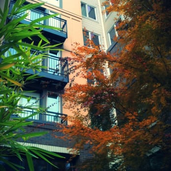 Alcyone Apartments - Apartments Near Me - Seattle, Washington
