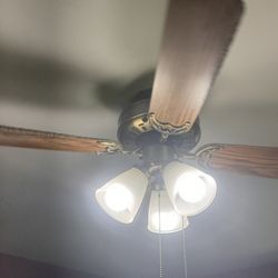 A ceiling fan, but I had to troubleshoot, and repair