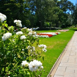 Veale Gardens