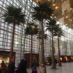 Benjamin & Marian Schuster Performing Arts Center Box Office - Real Palm trees in schuster center lobby