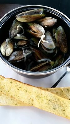 Scotts Brewing Co. by null