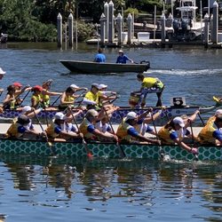 Tampa Bay International Dragon Boat Races
