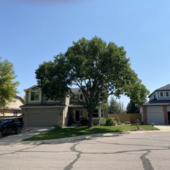 Roots Arise - After a good trimming - Tree Services Near Me