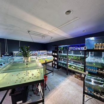SF Aquatic - Aquariums Near Me - Walnut Creek, California SF Aquatic - Aquariums Near Me - Walnut Creek, California