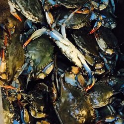 Ly Oriental Market - Fresh live blue crab