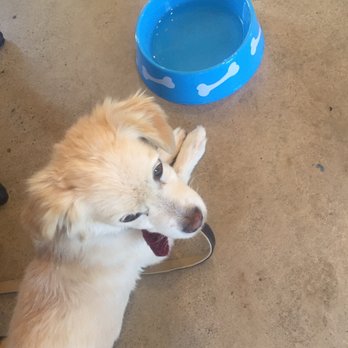 Gladly Coffee - Pet friendly! - Coffee & Tea Near Me - Spring Valley, California Gladly Coffee - Pet friendly! - Coffee & Tea Near Me - Spring Valley, California