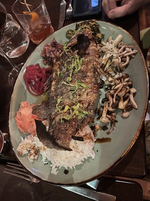 Truffle Pig by null